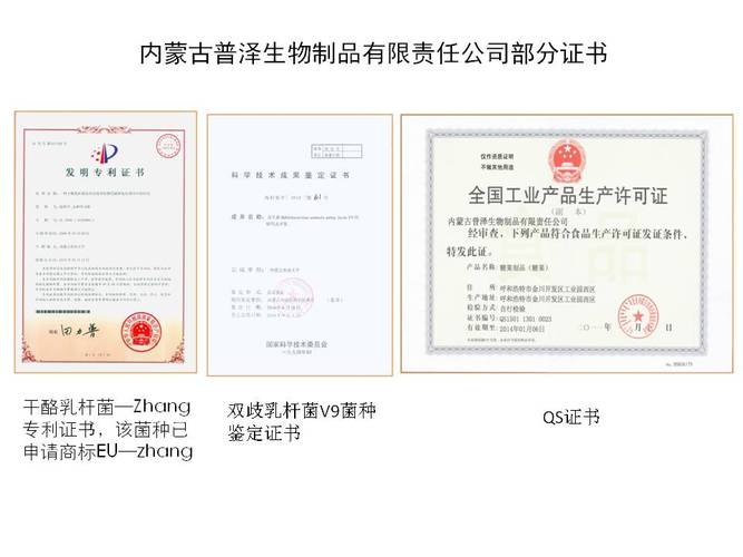 益生菌产业的创新引擎 金川工业园区的研发与产业化实践