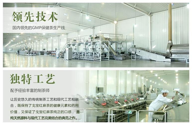 从一株麻到一条链 戈宝麻全产业链如何锻造保健食品竞争力