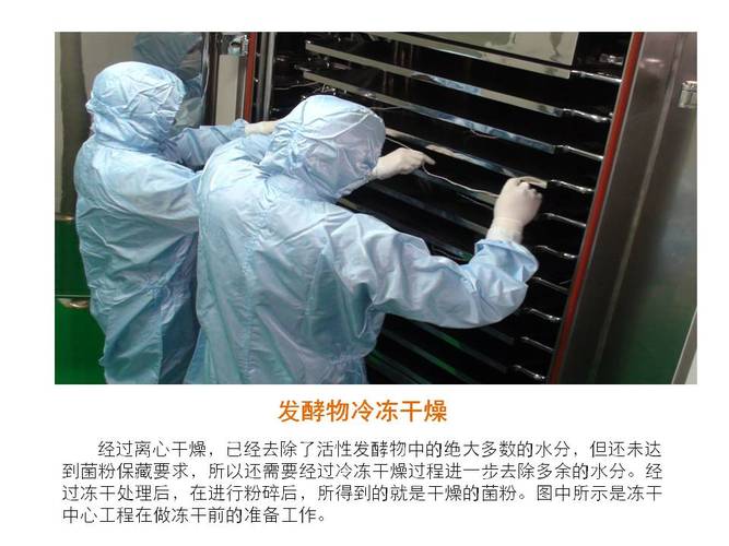益生菌产业的深耕者 金川工业园区的研发与产业化实践